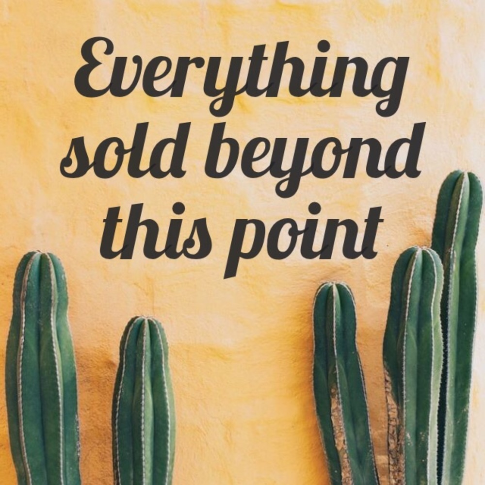 ✨Everything sold beyond this point